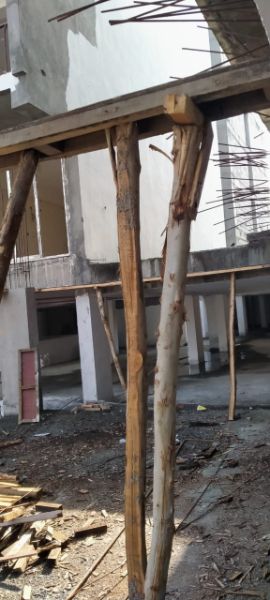 Progress Update - 01-Mar-2020 2